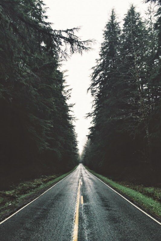 A Hard Road to Healing!