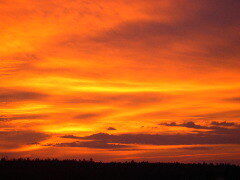 OUR SHARED DREAM (the Harvestcloud)