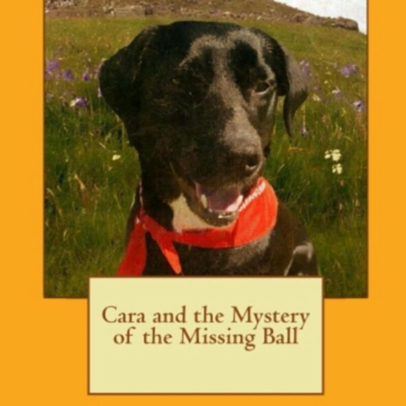 Cara, my dog.