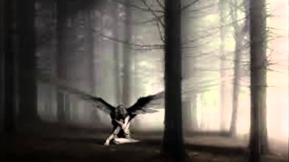 A soul to bleed