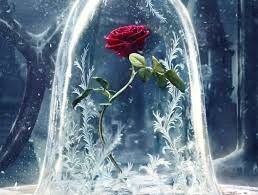 Philosophy of Love