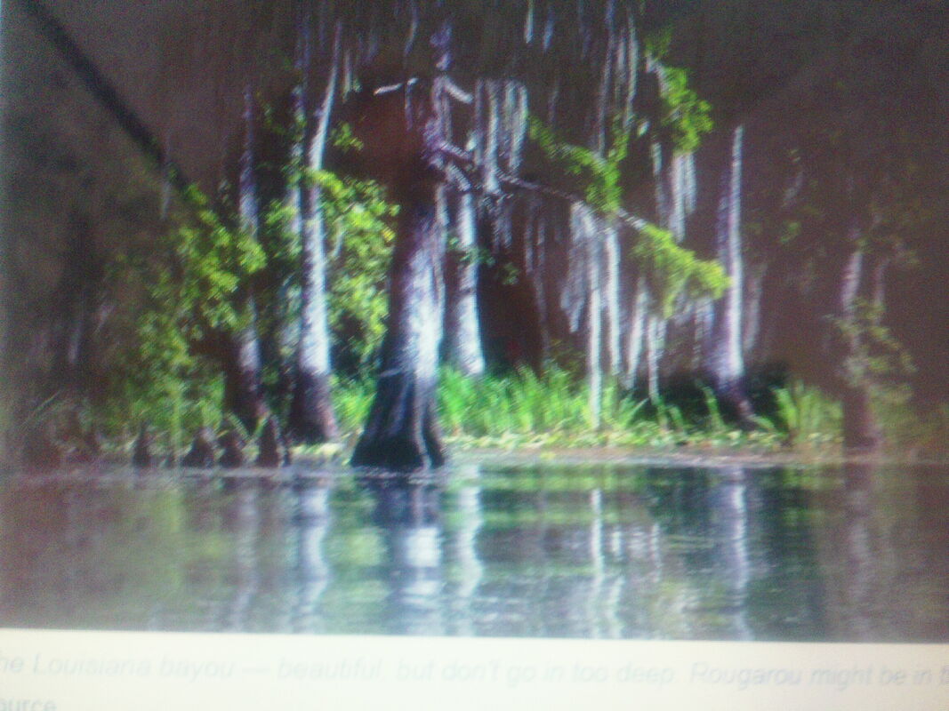 Swamp Murder Rougarou Part II
