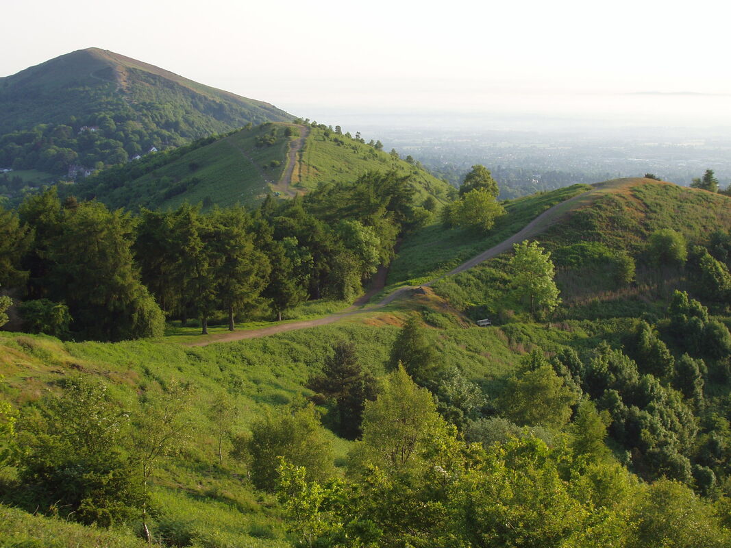 Malvern Hills in June
