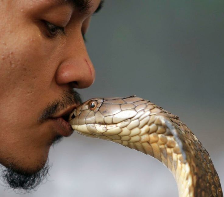 FATAL KISS