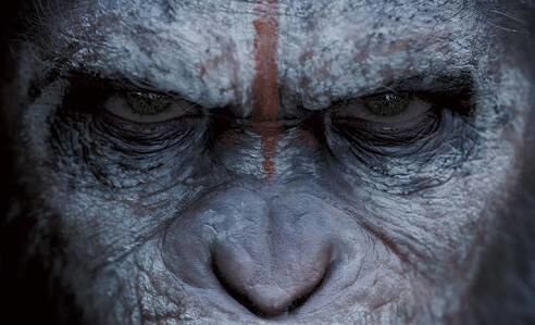 Planet of the apes 
