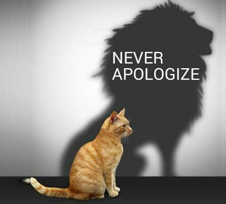 NEVER APOLOGIZE