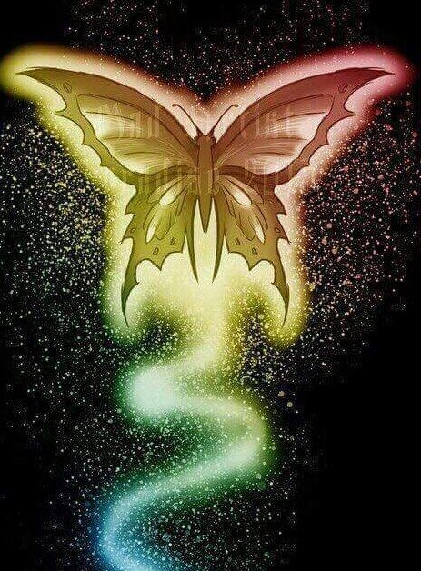 Shattered Butterflies