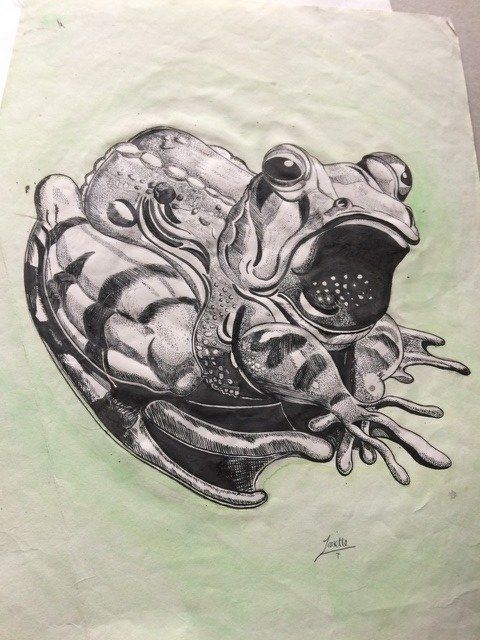 TOAD