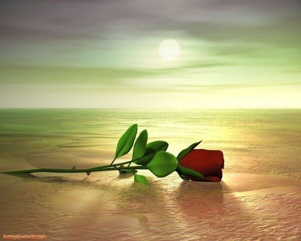 Love in the rarest form