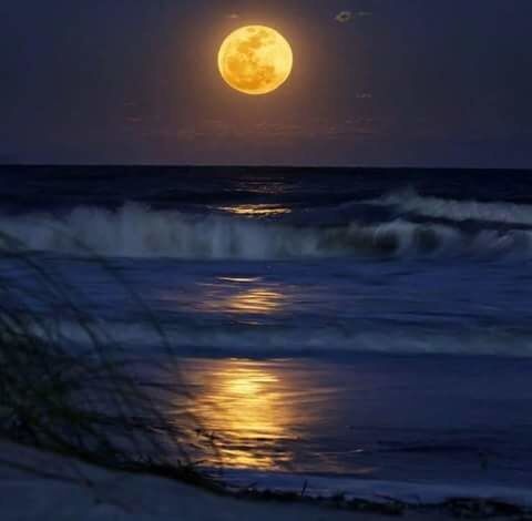 Moonlight