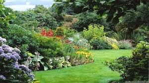 Summer Garden