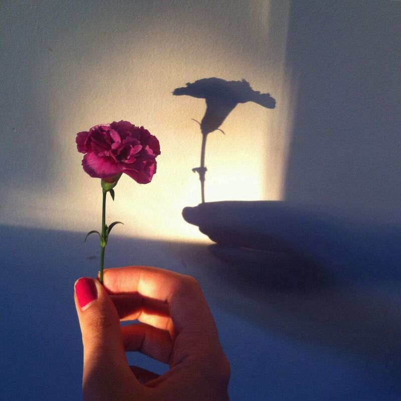 In Bloom