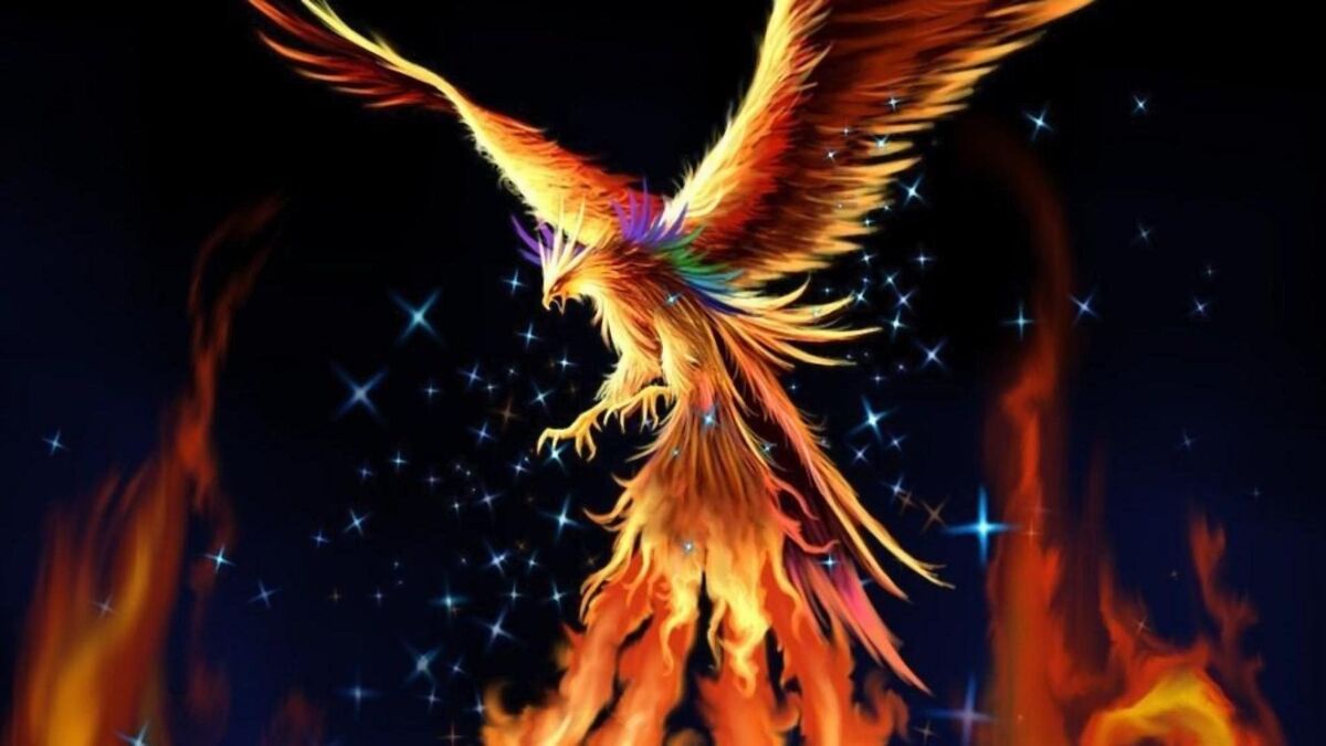 Phoenix full of fire 