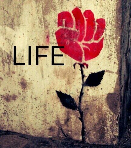 LIFE