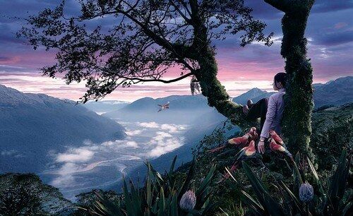 Imagination