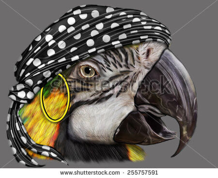 Captain Stolk's Bird