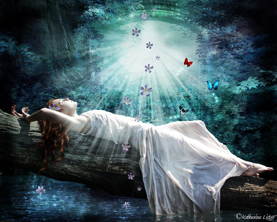 DREAMSÂ