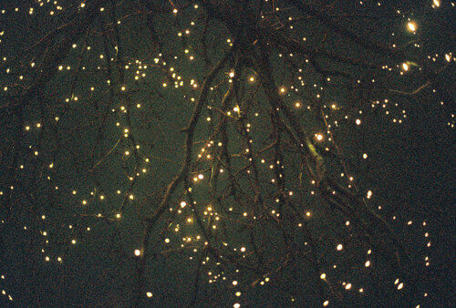 Shine a light