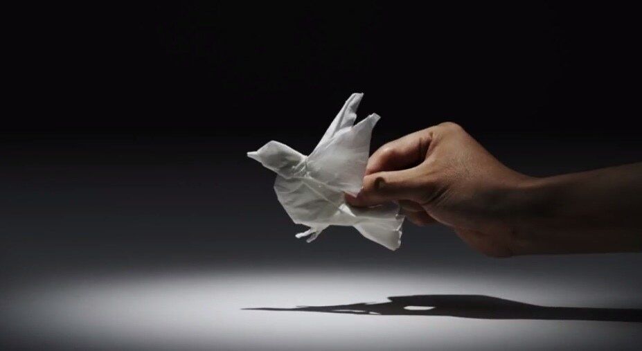 Tissues