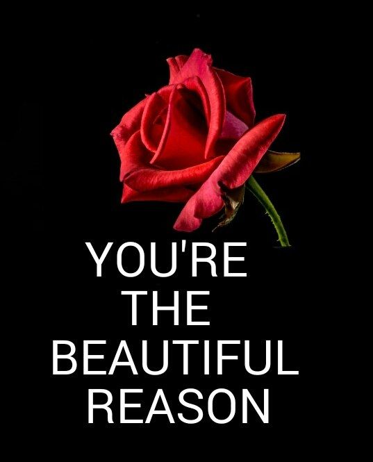 YOU'RE THE BEAUTIFUL REASON