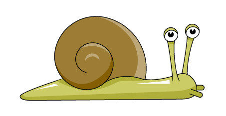 Professional snail Shelly (for the kids)