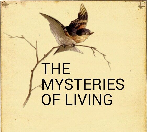 THE MYSTERIES OF LIVING