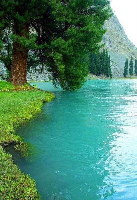 Love of everlasting  life