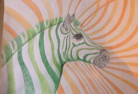 zebra