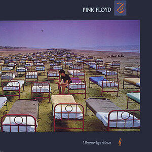 A Momentary Lapse