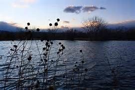 Dusk Takes Hold