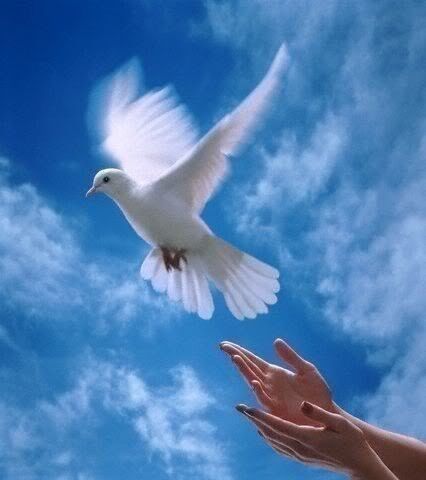 FREE