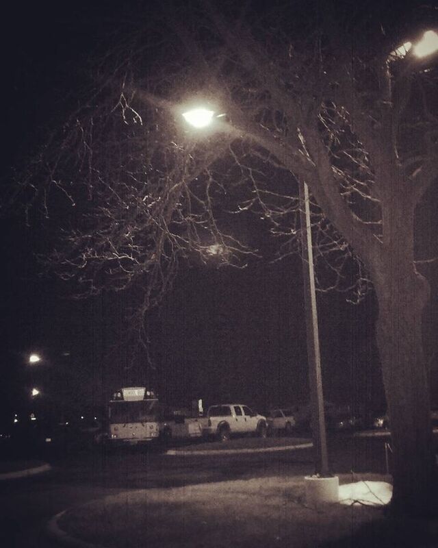 The Cold North The Cold North