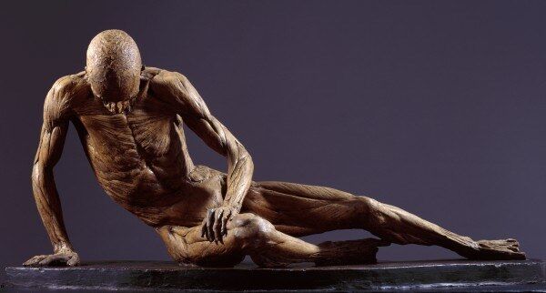 THESE BONES