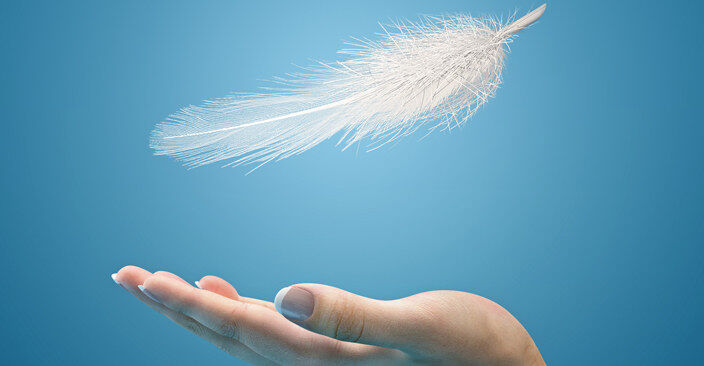 Hark! A Feather of Angel Care"