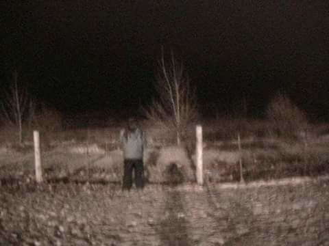 The Field