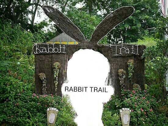 RABBIT TRAIL
