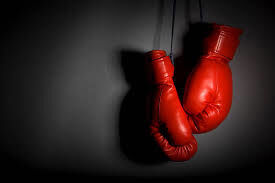 The Fighter