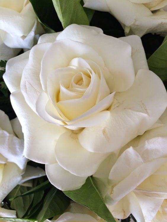 SO MANY TIMES OVER SO MANY YEARS