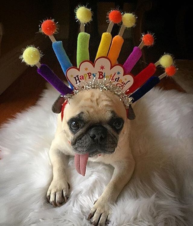 Birthday Boy