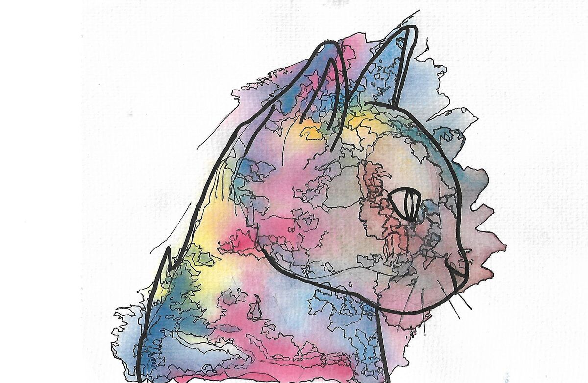 Watercolour Cat