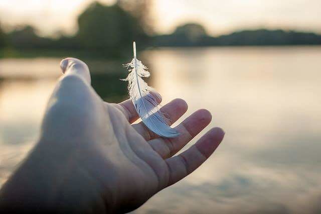 You left ...