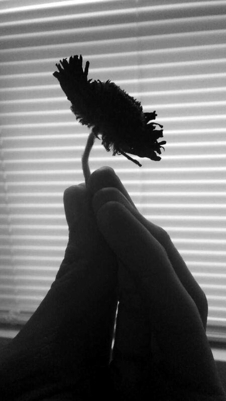 Counted Love