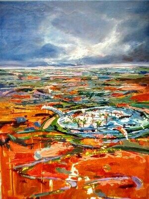Water lilies in Central Australia