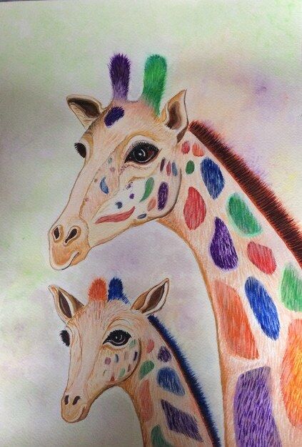 colourfull giraffe 