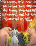The Pigs Are Standing