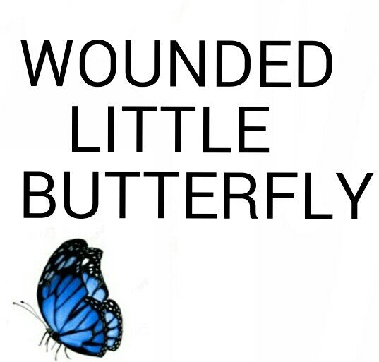 WOUNDED LITTLE BUTTERFLY