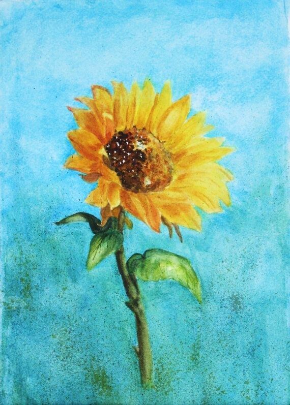 Williamsji Maveli writes, Sunflower Blossoms...