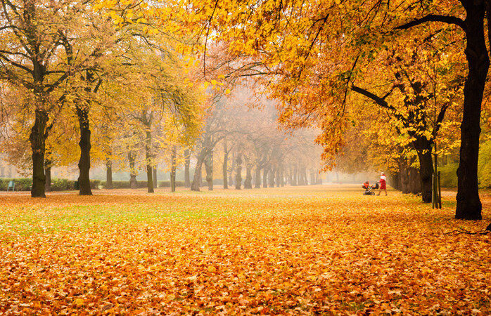 AUTUMN HAS ARRIVED