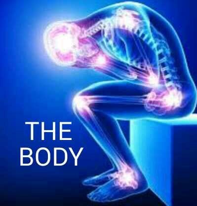 THE BODY