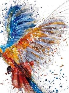 Williamsji Maveli writes, ​​​​​​​On a journey back to my own wings....